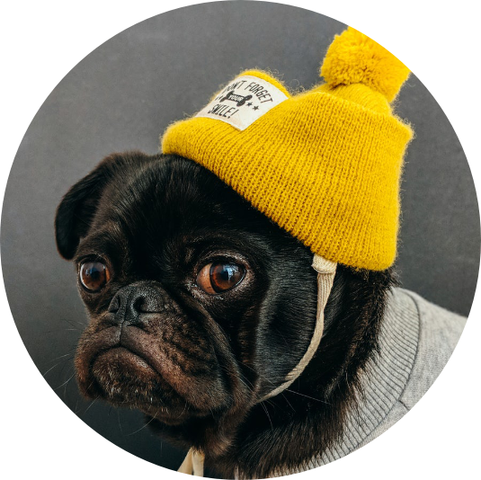 Stacks Image p331_n47